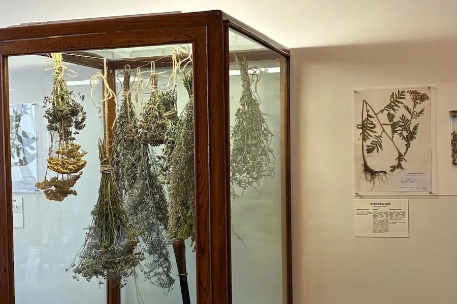 Exhibition "With One Foot in the Meadow"